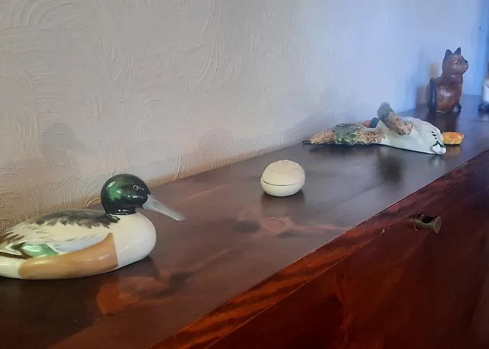 Di Montagna - 'la Ginestra'